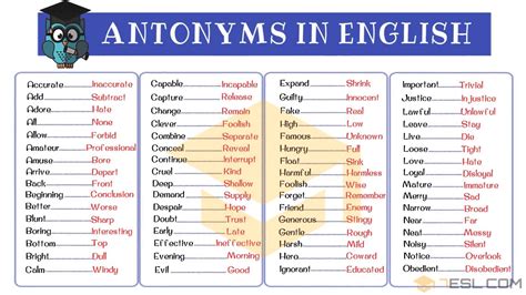 what does antonym mean|opposites.